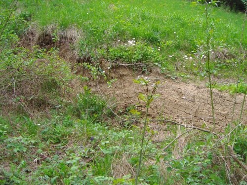 Sesuv půdy na Přecestném nad Žlebem - 7.5.2006